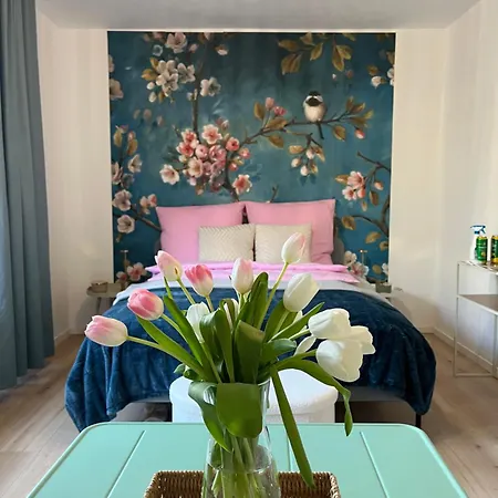 Cocoon * Ratingen