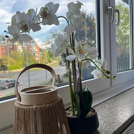 Apartment Cocoon